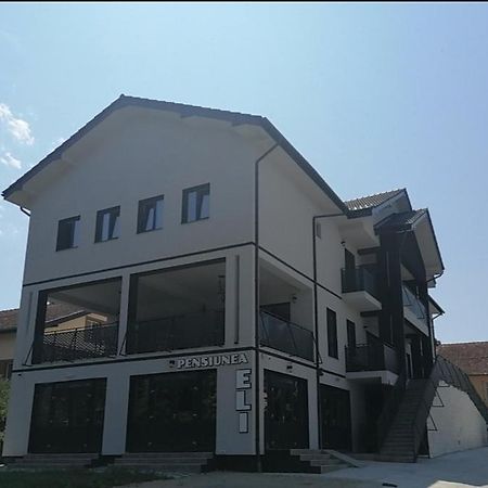 Pensiunea Eli Buzias Bagian luar foto