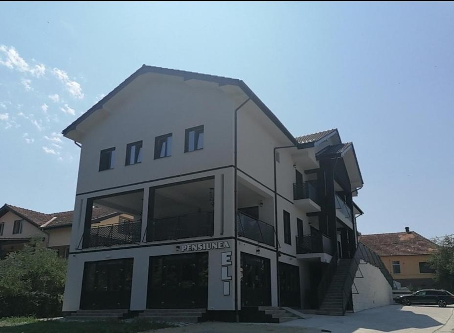 Pensiunea Eli Buzias Bagian luar foto